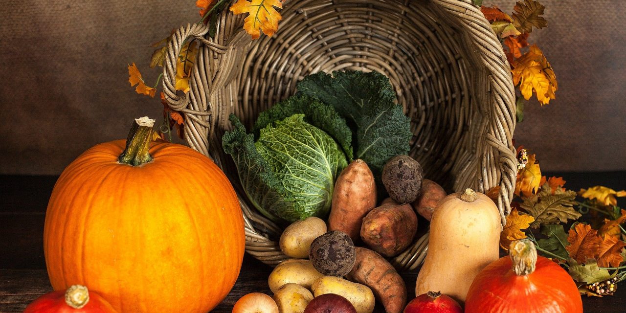 Happy Thanksgiving! We Are Grateful For…